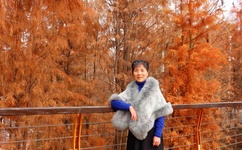 星空传媒XK8033房东